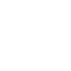Servidor Global